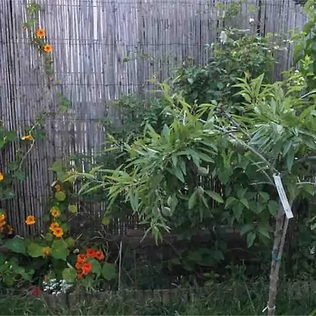 Maison Classee Meuble 3 Etoiles, Proche Mer. Casa de Férias Sainte-Maxime
