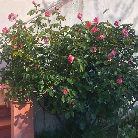 Holiday home Maison Classee Meuble 3 Etoiles, Proche Mer. Sainte-Maxime