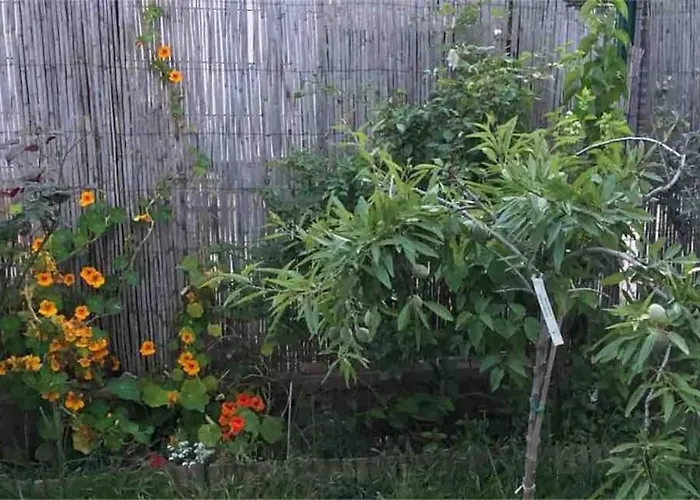 Maison Classee Meuble 3 Etoiles, Proche Mer. بيت للعطل سانت ماكسيم