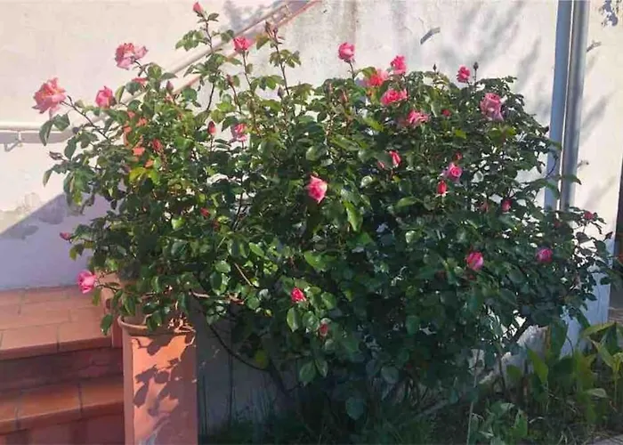 Holiday home Maison Classee Meuble 3 Etoiles, Proche Mer. Sainte-Maxime